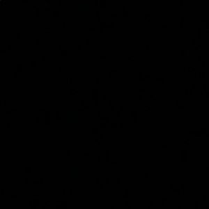 Meet your Posher, Tallie